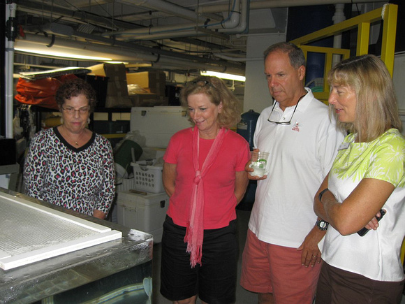 Club Meeting August 8, 2014 - Peggy Sloan Tour at the NC Aquarium at Fort Fisher